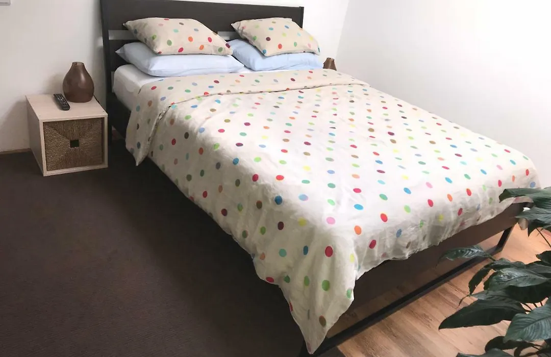 Luxury Apartment Mihai Bravu-1